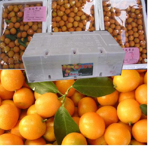 单击查看大图片